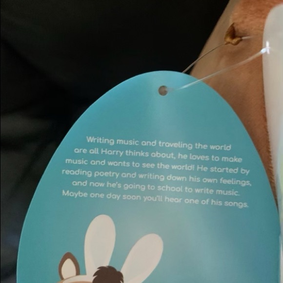 squishmallow horse - Picture 4 of 4